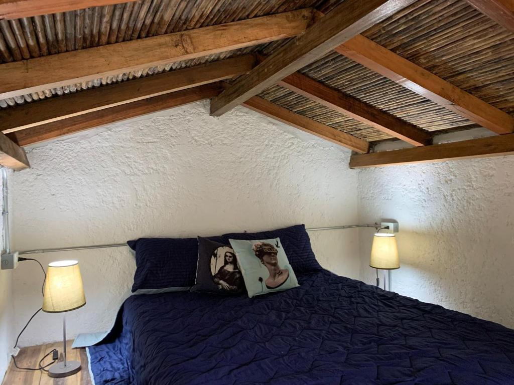 佛罗里达布兰卡Finca Montmagica的一间卧室配有一张带两盏灯的蓝色床。