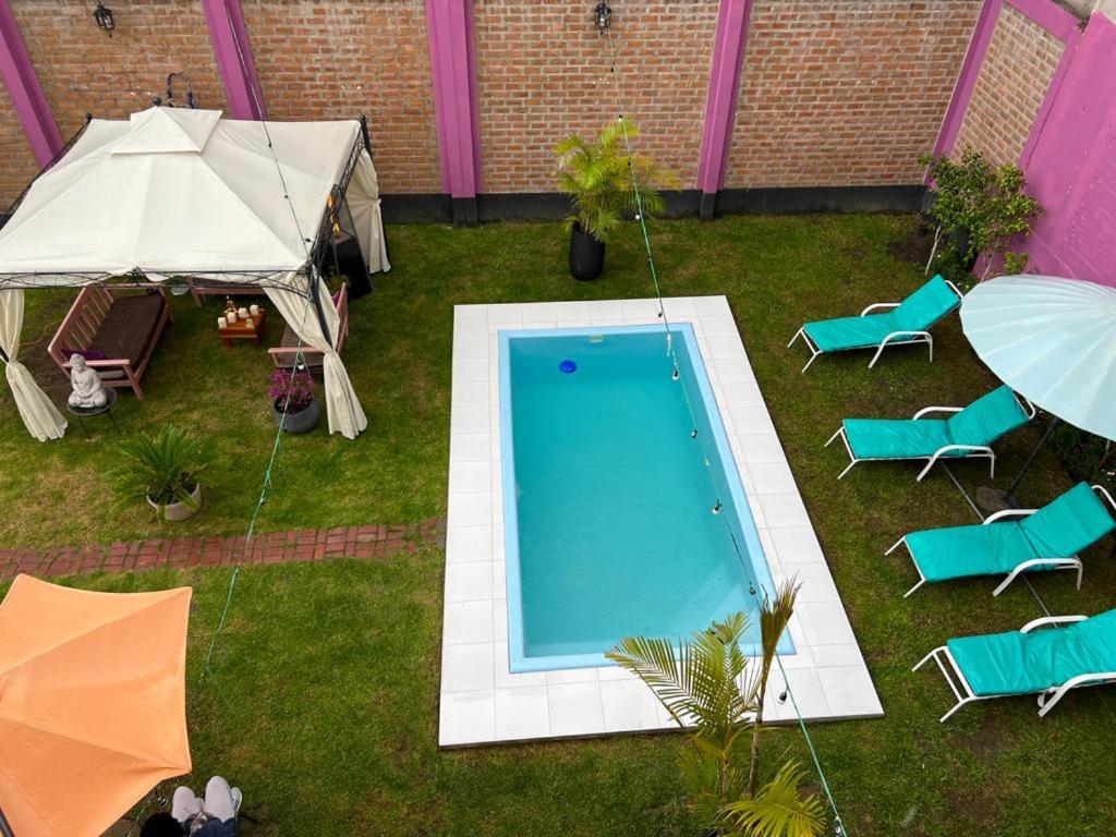 阿雷基帕AM Hotels Collect的后院设有游泳池、椅子和遮阳伞
