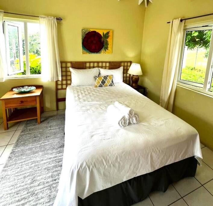 Kay Marni: Your Saint Lucian home客房内的一张或多张床位