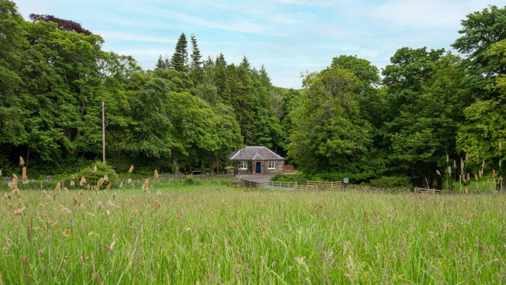 ClovenfordsEast Lodge at Ashiestiel的一片高大的草场,后面有一间小屋