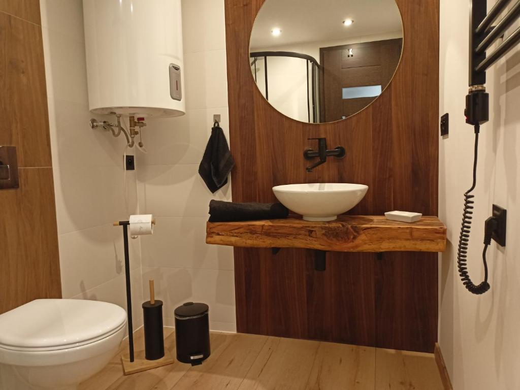 Agroturystyka "Apartament na wsi" Bory Tucholskie的一间带水槽、卫生间和镜子的浴室