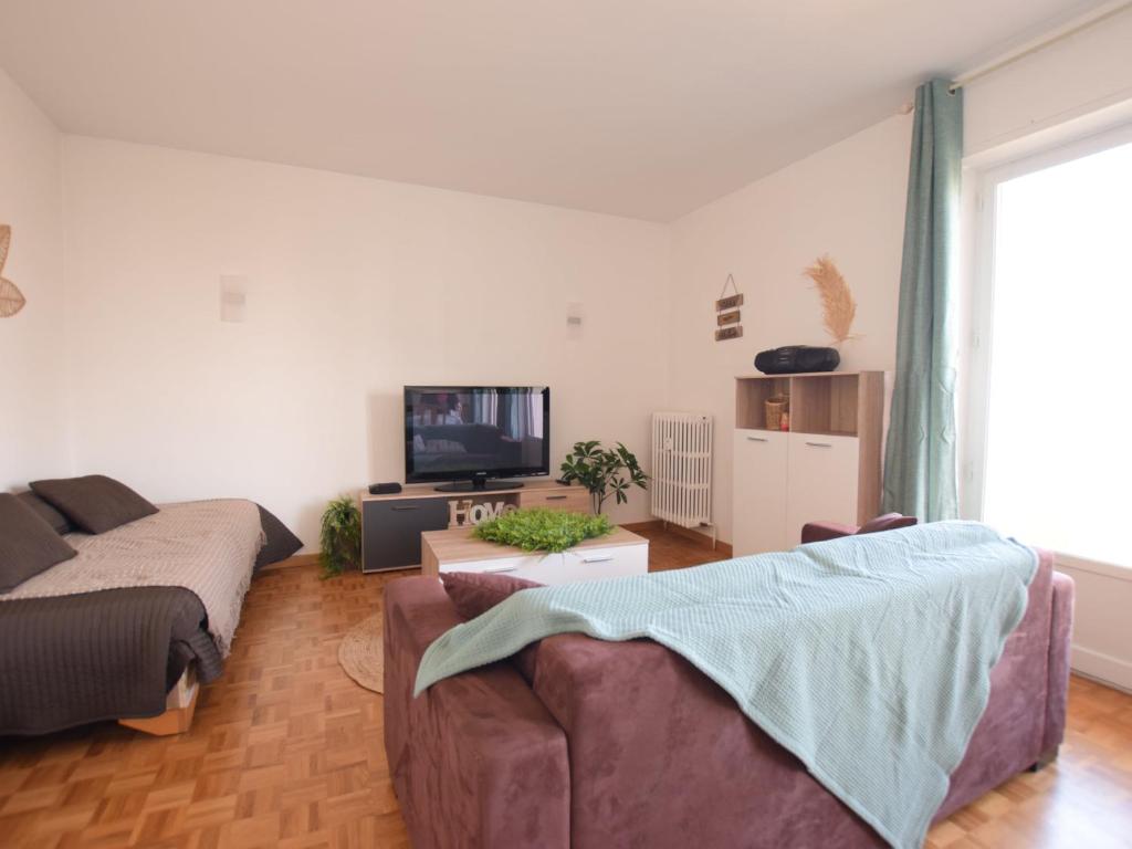 埃维昂莱班Appartement Évian-les-Bains, 2 pièces, 4 personnes - FR-1-498-72的带沙发和电视的客厅
