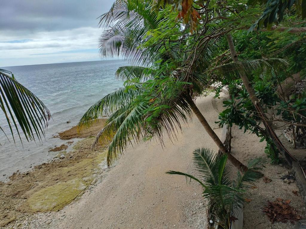 BoljoonSea Esta Beach House的棕榈树和海洋的沙滩