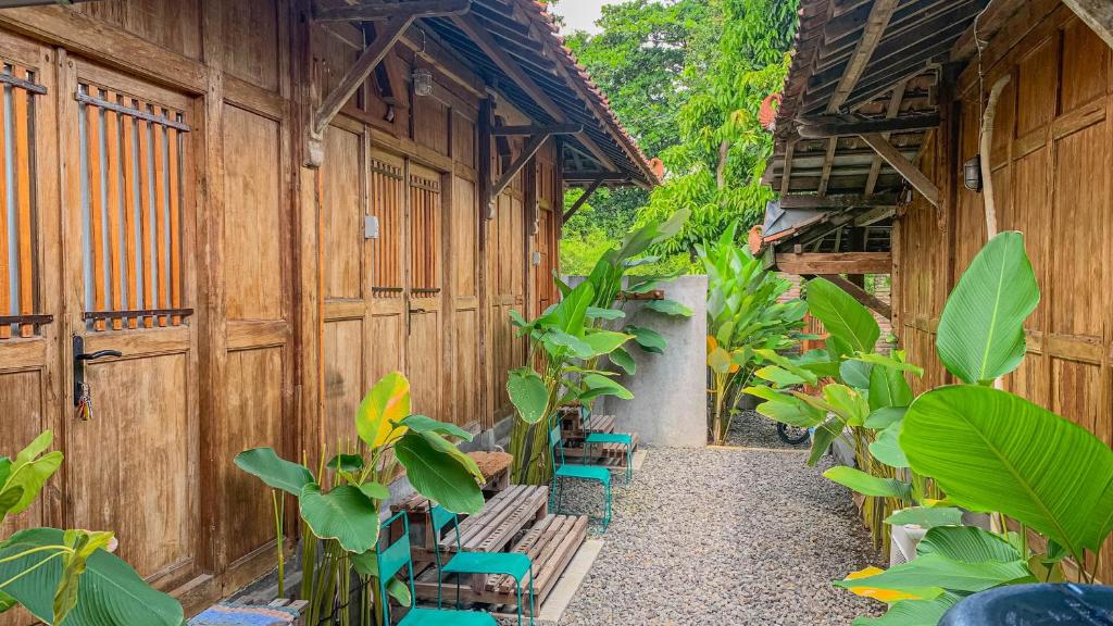 日惹Yukke Tembi Homestay的一座庭院,里面种有长椅和植物