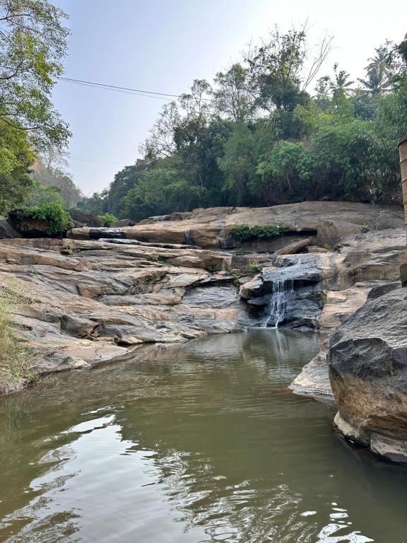 蒙纳Thoppil Homestay Munnar的一条有瀑布和岩石的河流