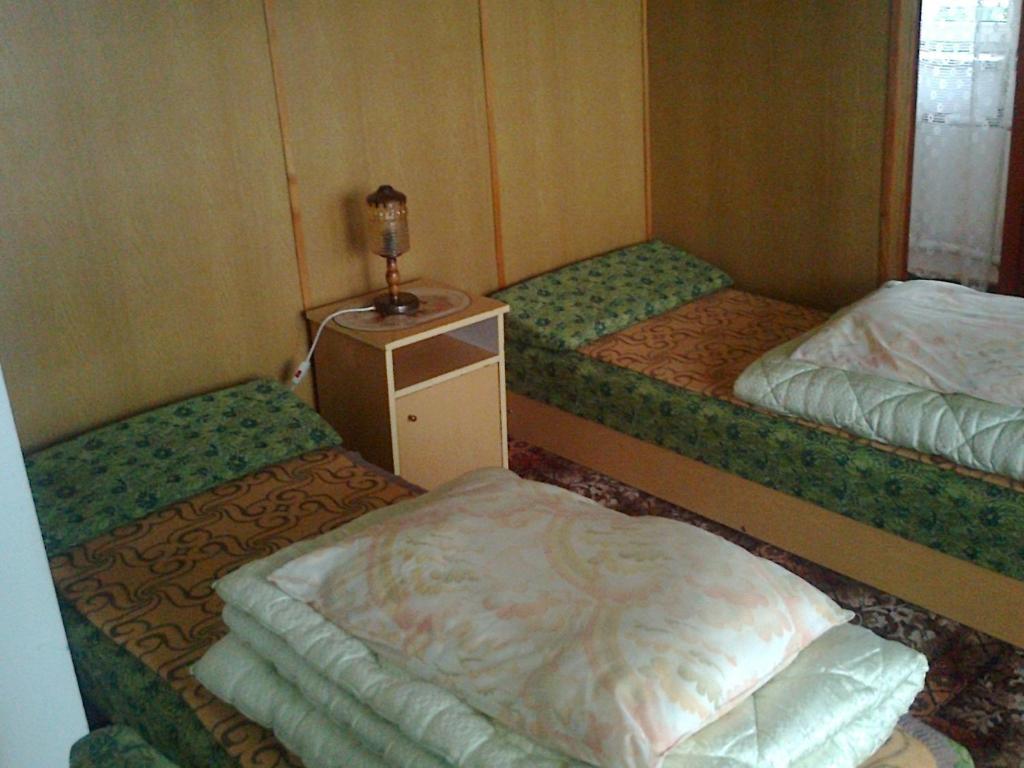 伊沃尼奇-兹德鲁伊Maxim Pokoje Gościnne的客房设有两张床和一张带台灯的桌子。