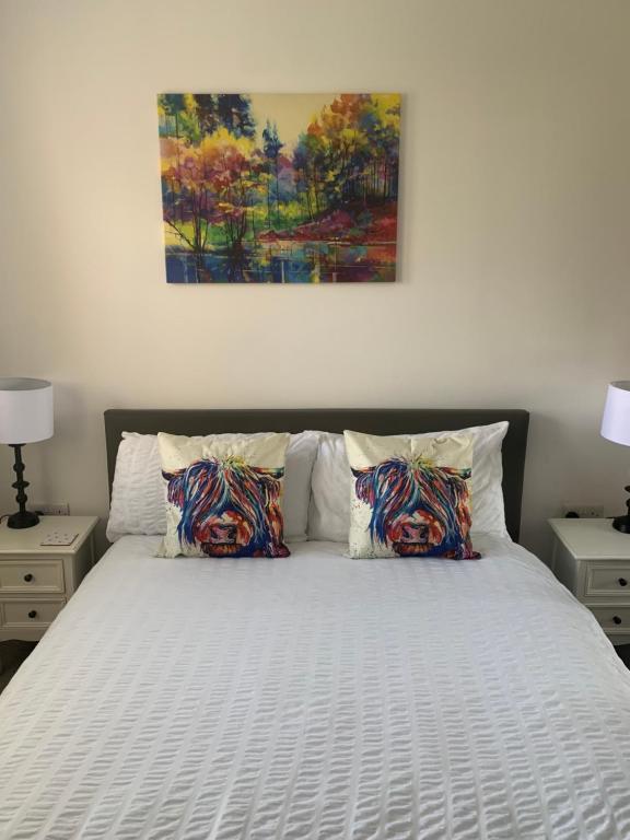 塞拉戴克New Holliday Villa, Anstruther的一张带两个枕头的床和墙上的绘画