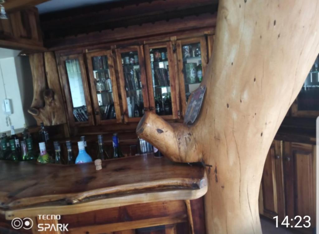 约翰内斯堡50 Arklow的木头头头坐在酒吧的顶部