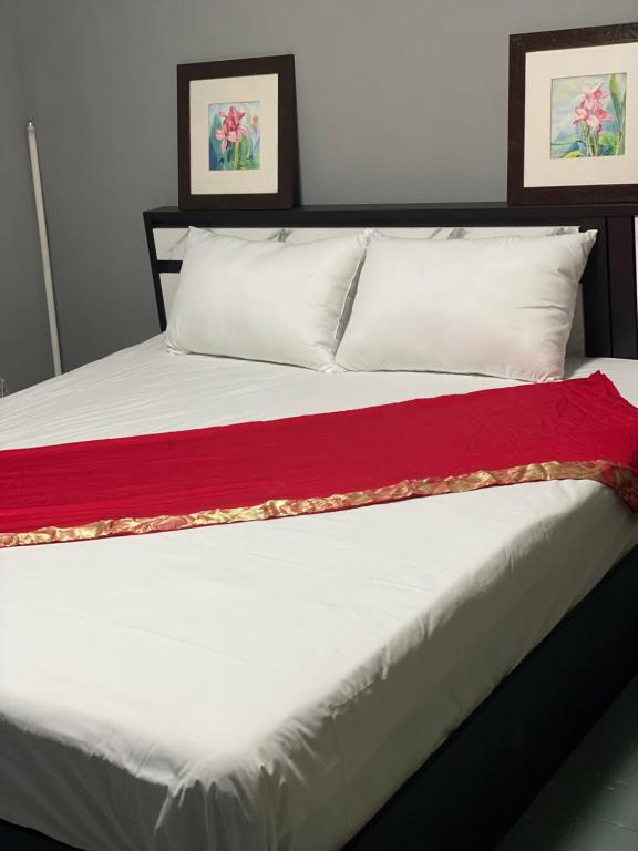 甲米镇Saran Hostel krabi Thailand的一张带白色枕头和红色毯子的床