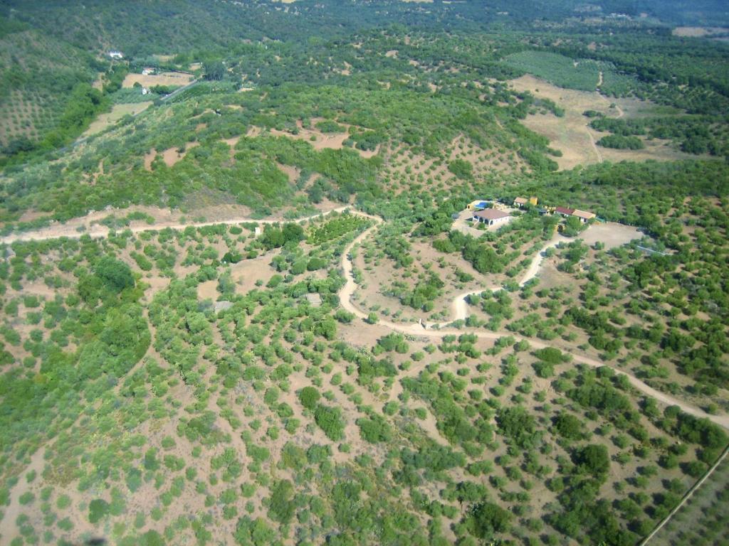 奥尔纳丘埃洛斯Casa Rural Mirador de la Alcaidía的山丘上树木田野的空中景观