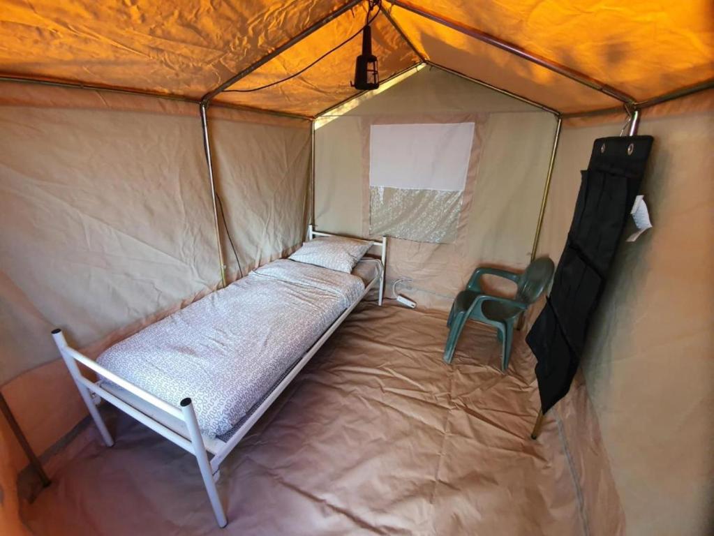 卡波利韦里Elba Travels - Morcone的帐篷内的一张小床和一把绿色椅子