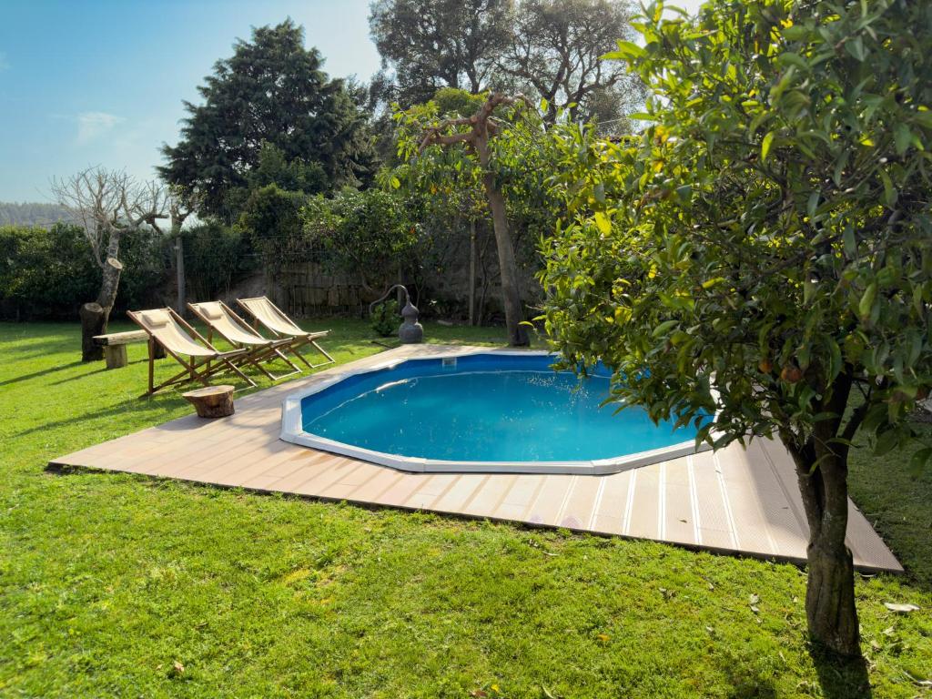 Paço de SousaOlival House的院子里的游泳池,有两把椅子和一棵树