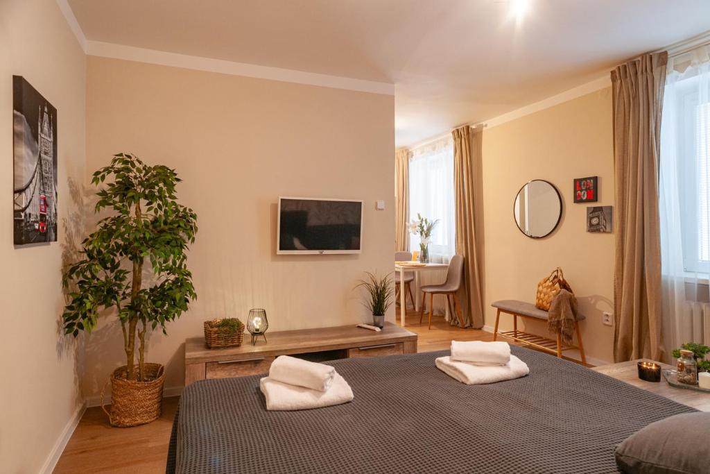 哈维若夫STING Apartments Havířov的一间卧室配有一张带两个白色枕头的床