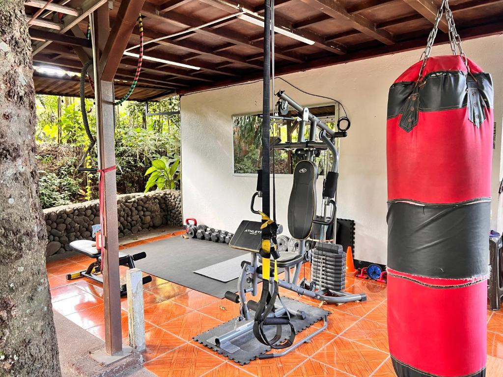 福尔图纳Rio Danta Hostel的健身房旁的健身房,带拳击袋