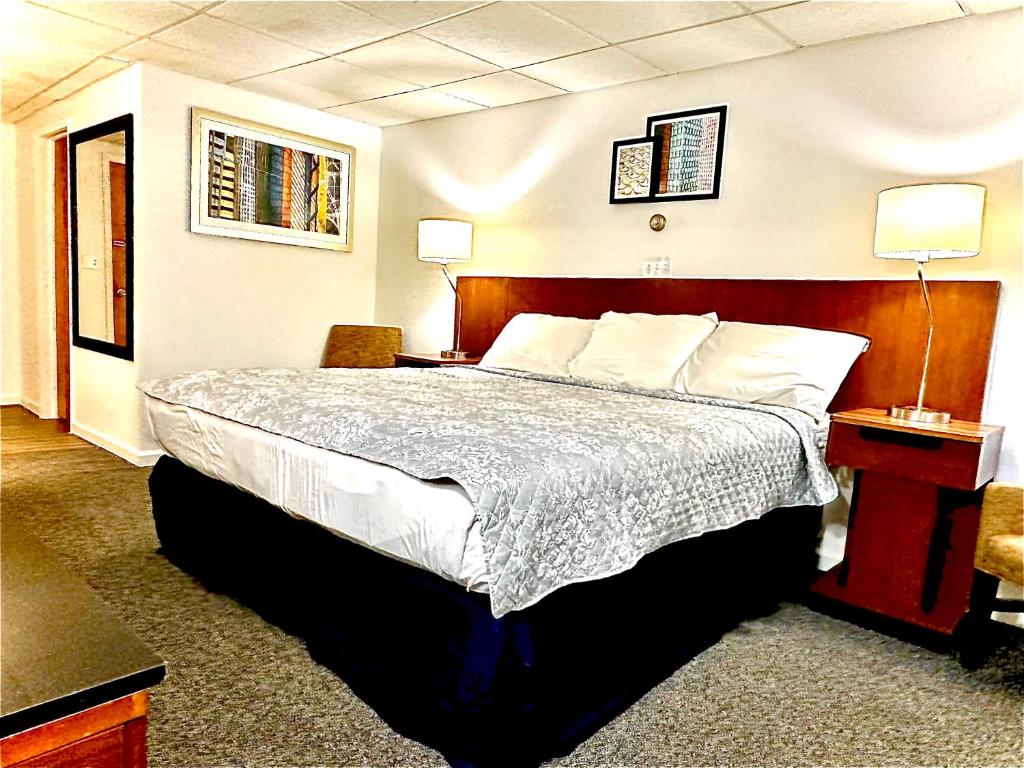 Wellsville巴基特汽车旅馆的一间位于酒店客房内的带大床的卧室