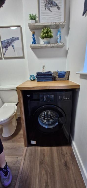 拉姆拉什Seaview cosy 2 bed home in Lamlash的一间带卫生间的浴室内的洗衣机