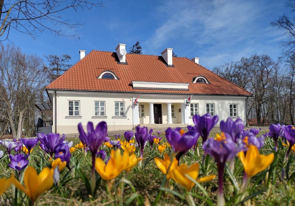 Muzeum Ziemiaństwa w Dąbrowie平面图