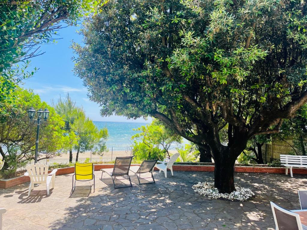 泰拉奇纳Villa GREG stupenda location sulla spiaggia con accesso diretto al mare的海滩旁的一组椅子和一棵树