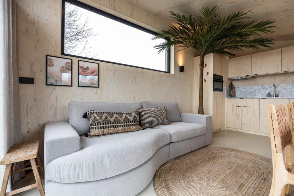 韦斯特卡佩勒Hello Zeeland - Tiny House Zeeuwse Liefde 11的带沙发和棕榈树的客厅