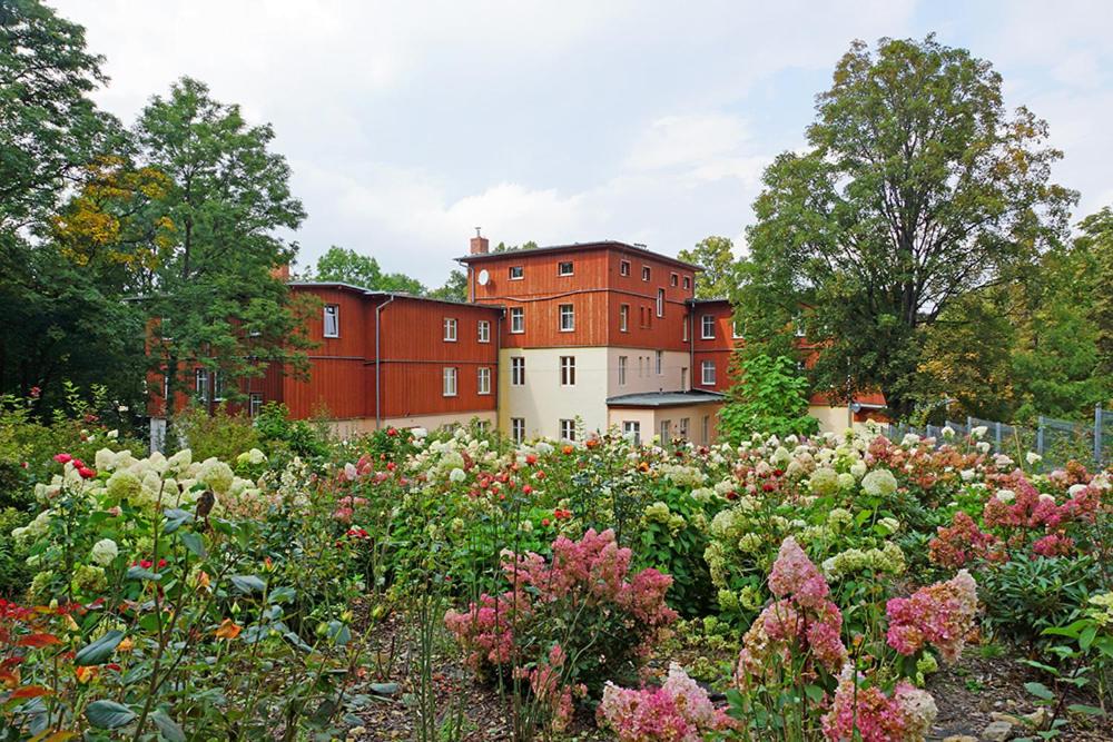 卡尔帕奇上将度假屋旅馆的一座花园,在一座建筑前种有鲜花