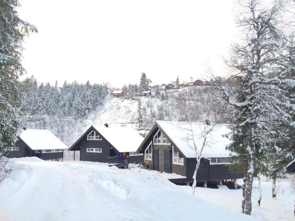 努尔黑姆松Kvamskogen & Hardanger Holliday homes的一条雪覆盖着的房屋,位于道路旁