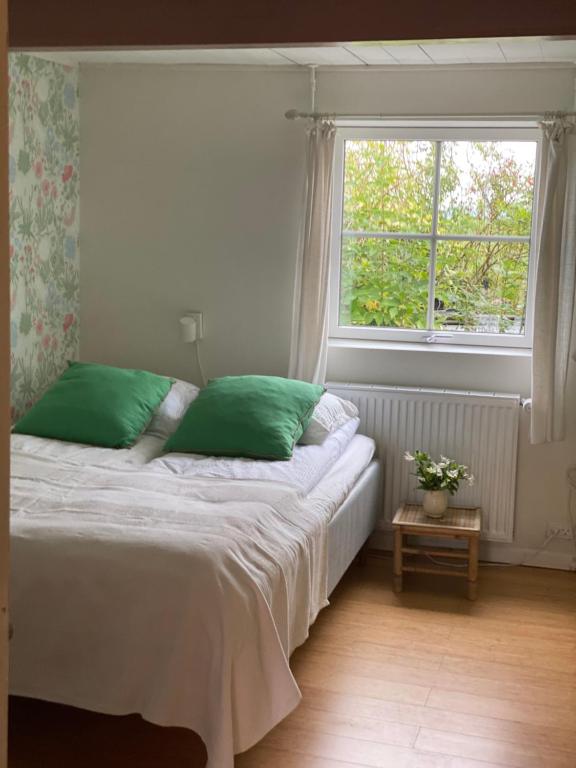 博雷Camønogaarden et B&B, kursus center og refugie på Østmøn的一间卧室配有一张带绿色枕头的床和一扇窗户
