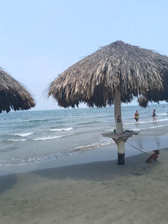 科韦尼亚斯Cabaña SOL Y MAR的海滩上的一把带大洋人用的草伞