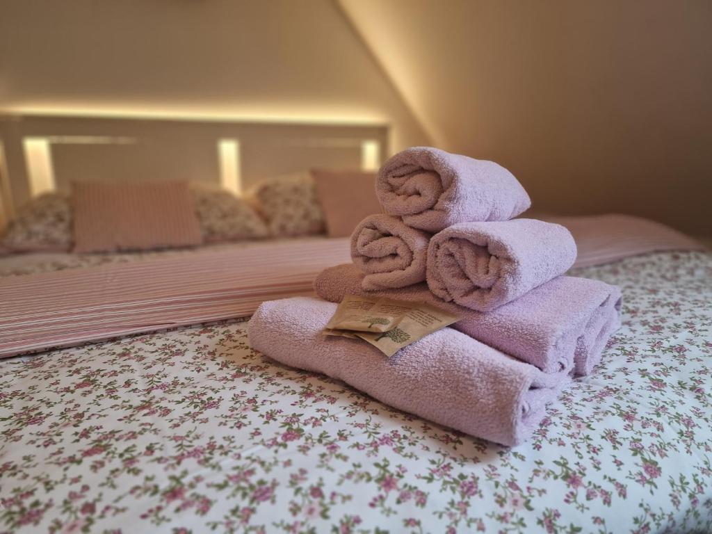 迪耶河畔弗拉诺夫Babyhotel Karolínka, wellness的床上的一大堆毛巾