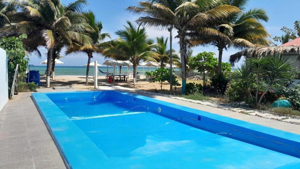 索里托斯Sand Castle Ocean Suites的棕榈树海滩旁的蓝色游泳池