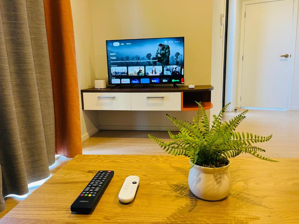 汉密尔顿Modern Comfy 3 Bedrooms House in Chartwell的一间配有电视的客厅和一张桌子上的植物