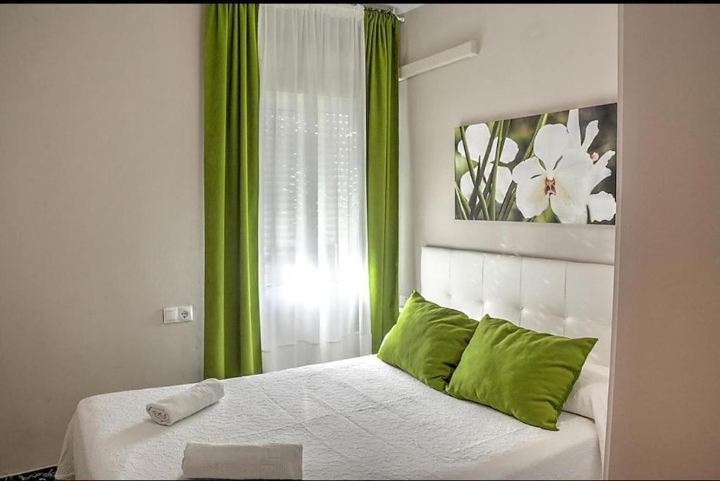 塞维利亚Ritual Sevilla, piedra preciosa的一间卧室配有一张带绿色窗帘的床和窗户。