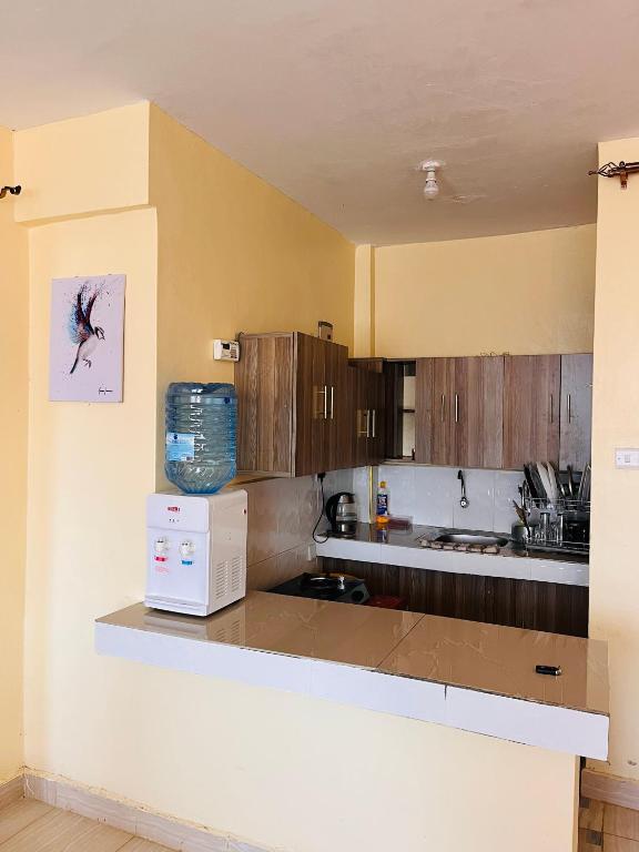 BometRiver View Apartments的厨房配有木制橱柜和白色微波炉
