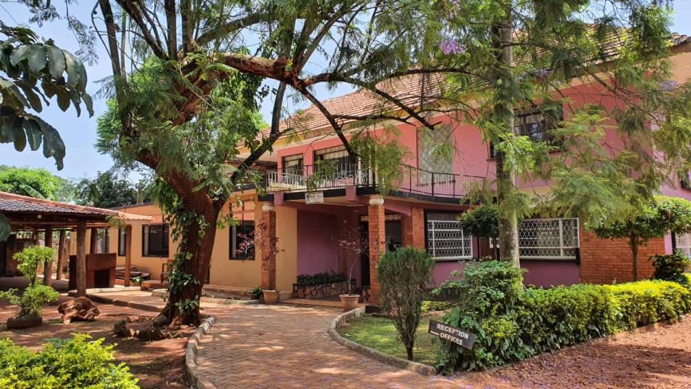 金贾Arise Africa International Christian Guesthouse的前面有一棵树的粉红色房子