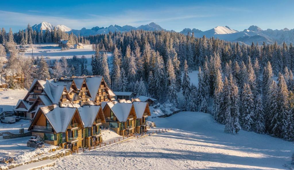 布科维纳-塔钱斯卡Pensjonat Orlik Mountain Resort&SPA的雪中房屋的空中景观