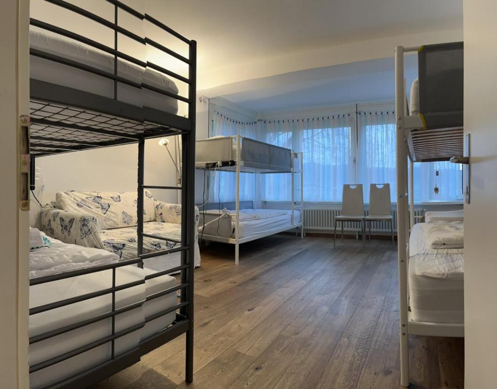 苏黎世Viktoria Budget Hostel的带两张双层床的房间和用餐室