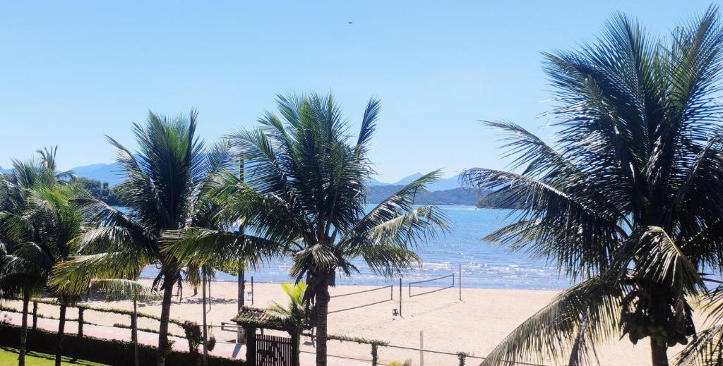 安格拉杜斯雷斯Pousada da Praia的享有棕榈树和水景海滩的美景