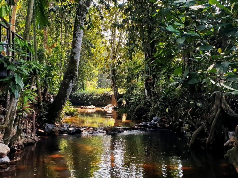 Water Pearl, Kosgama, Seetawaka平面图