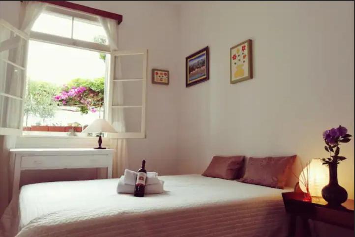 丰沙尔Vila São Gonçalo的卧室配有白色的床和窗户。