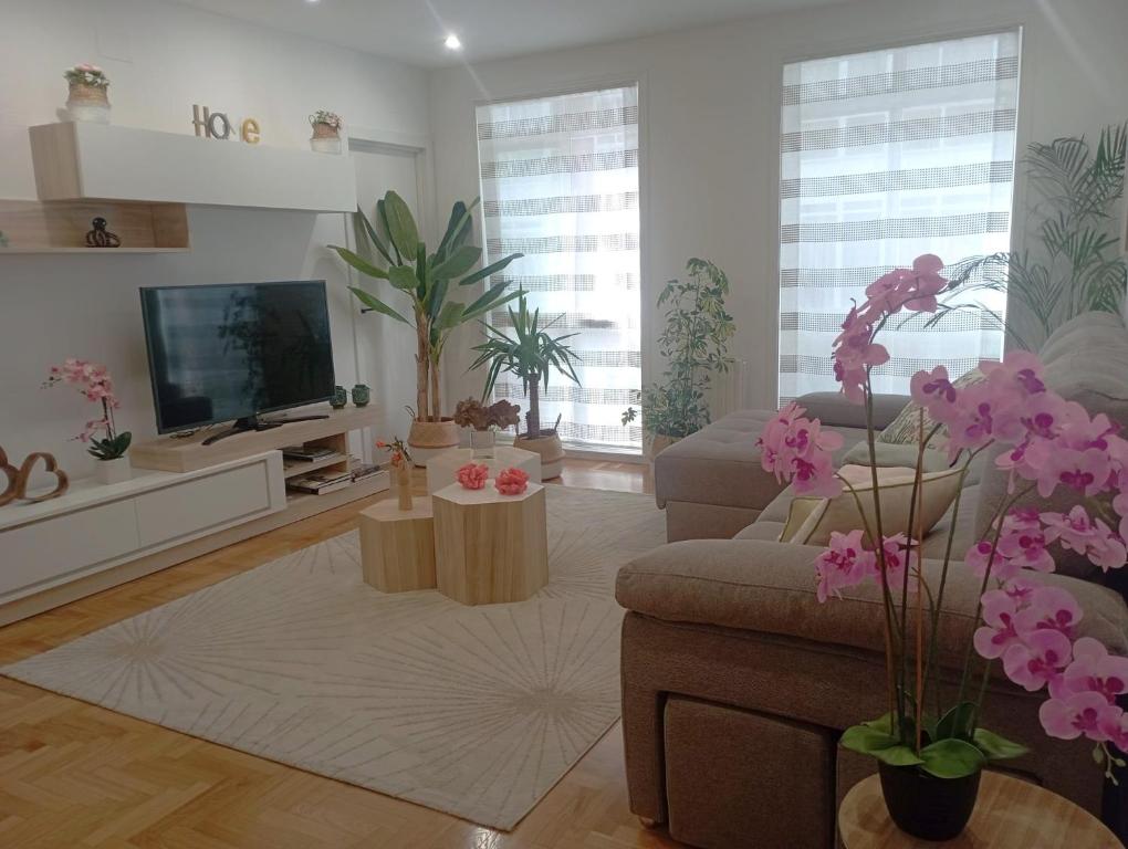 圣地亚哥－德孔波斯特拉Súper apartamento Santiago的带沙发和电视的客厅