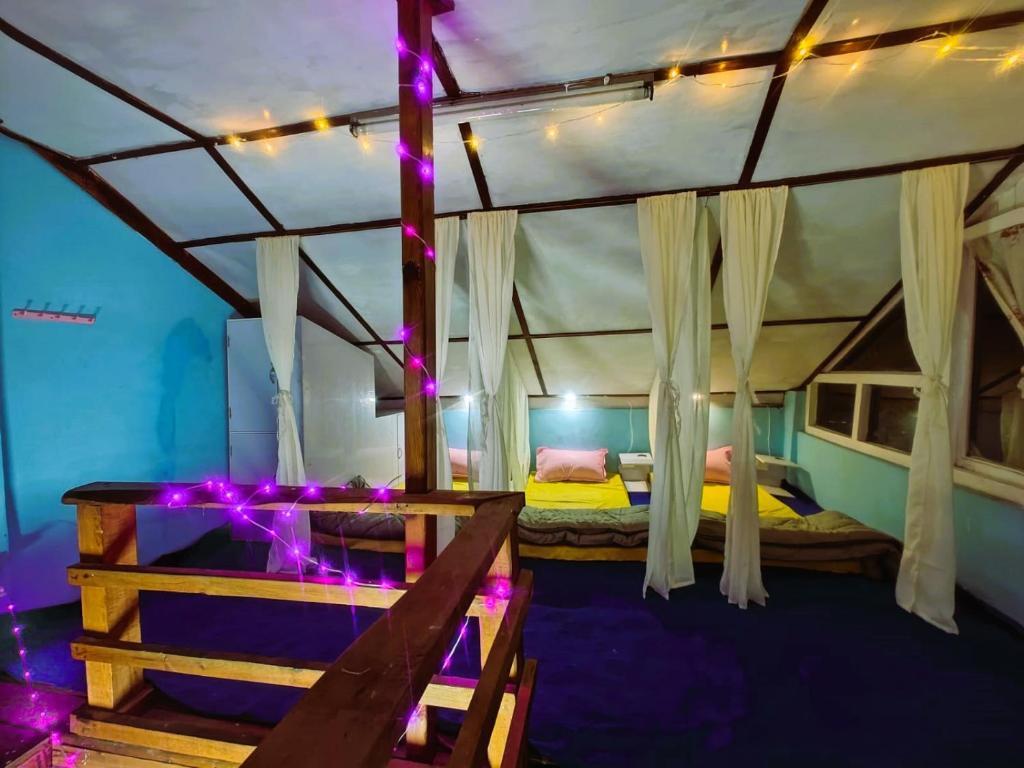 达兰萨拉Vibe Hostel的一间设有一张紫色灯的天蓬床的房间