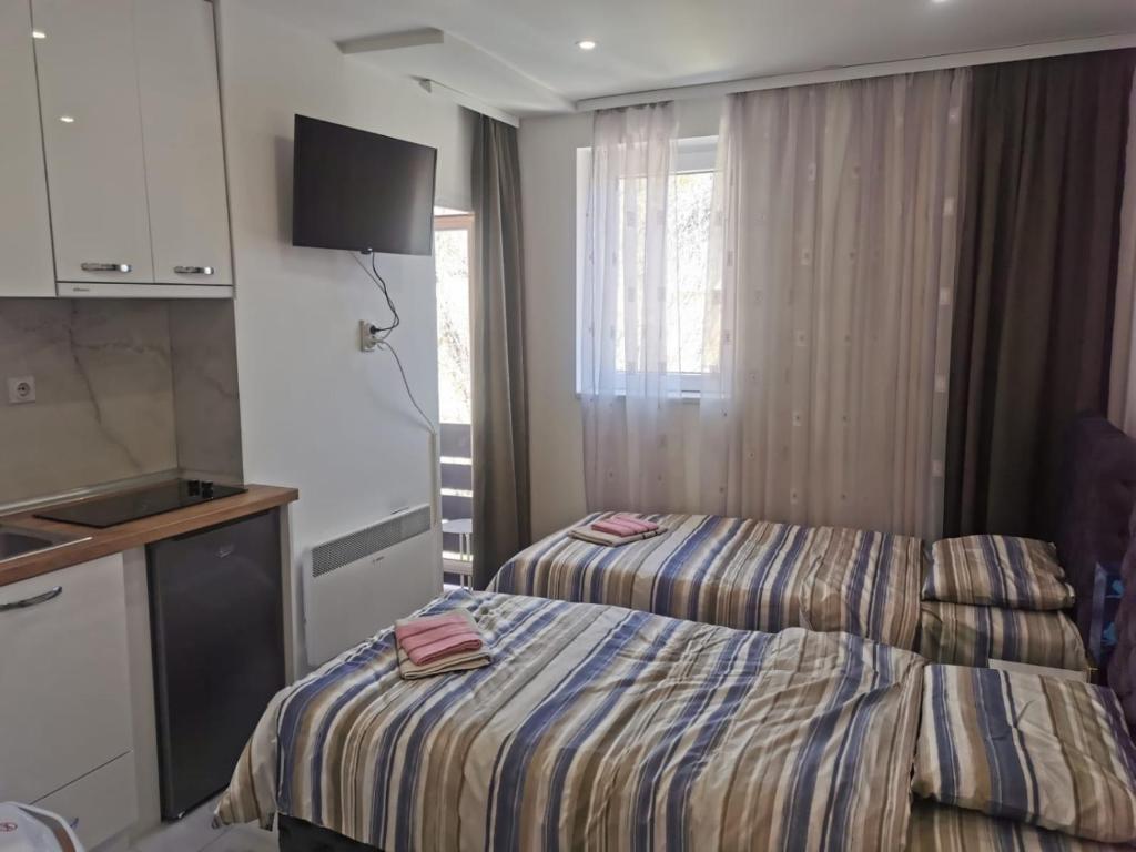 里巴斯卡班亚Apartman Aleksandar 2的酒店客房带两张床和厨房