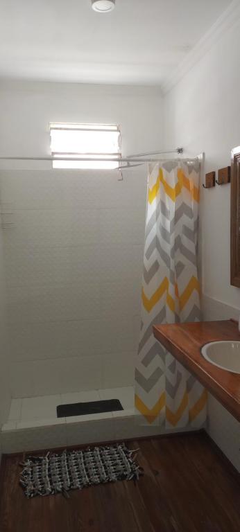 Moisés VilleHostal Adelita的浴室配有淋浴帘和盥洗盆。