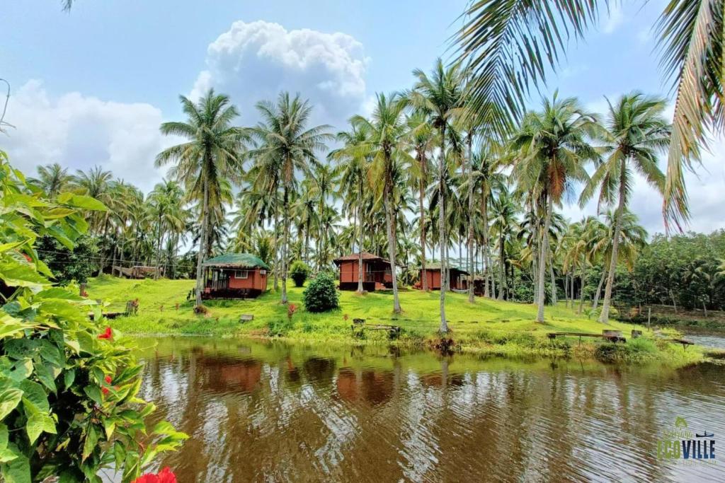 CavintiCaliraya Ecoville Recreation and Farm Resort的棕榈树和水体的度假胜地