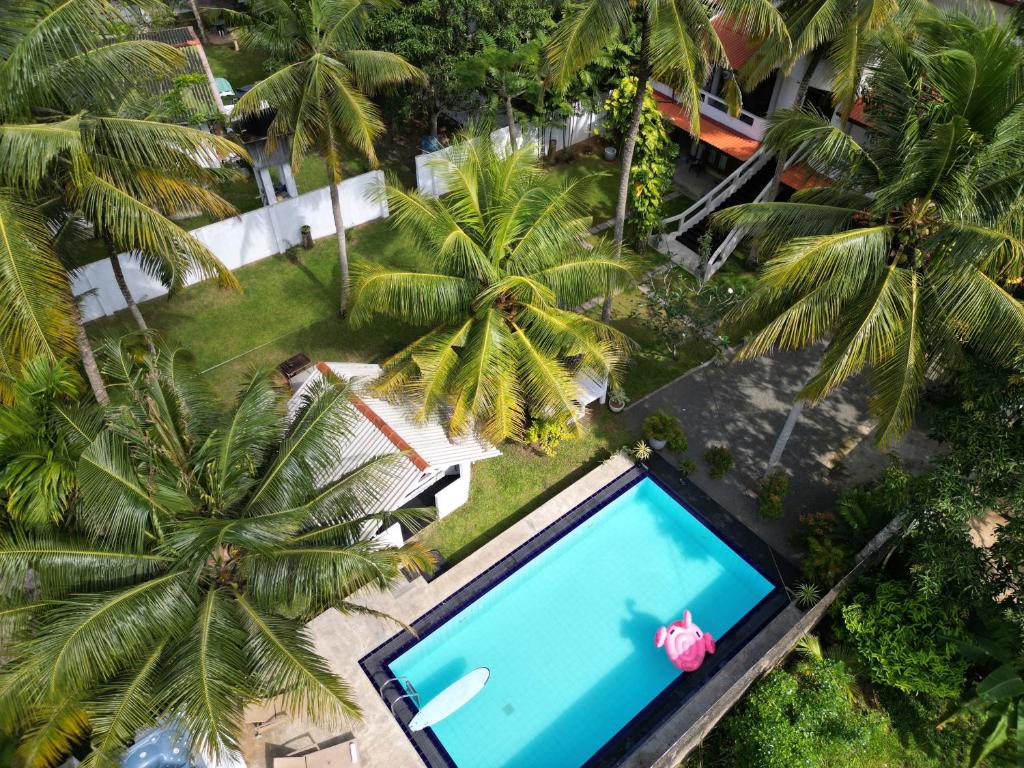 哈巴拉杜瓦Dream Villa with Pool的享有棕榈树游泳池的顶部景致