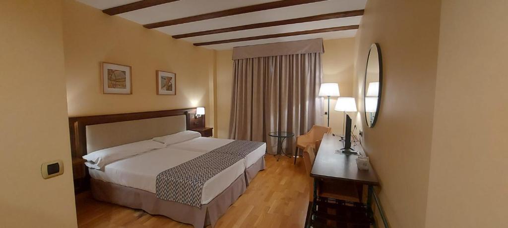 阿兰达德杜洛Hotel Spa Tudanca Aranda的配有一张床和一张书桌的酒店客房