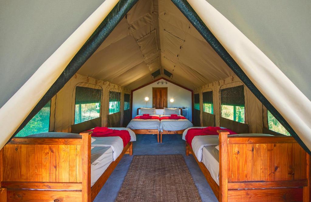 Hakusembe River Camping2Go的小房间四张床位