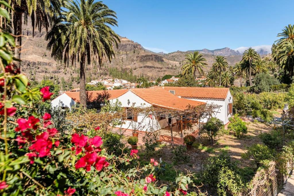 法塔加Casa Simón的棕榈树和红花的白色房子
