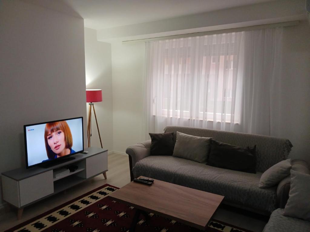 Kosovo PoljeApartment Dastidi的带沙发和电视的客厅