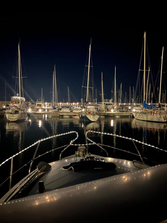 巴塞罗那Cosy and Homey Houseboat Castelldefels的一群船在晚上停靠在港口