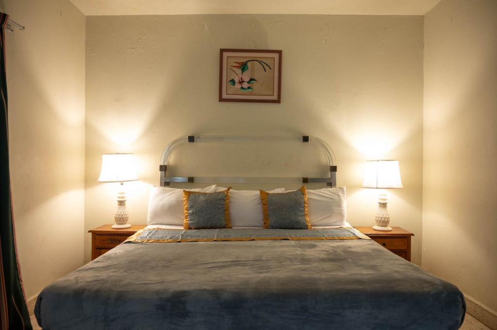 蒙特哥贝Ocean View King Room at Sahara Hotel的一间卧室配有一张大床和两盏灯